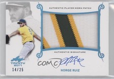 2017 Leaf Trinity Platinum Holofoil Spectrum 14/25 Norge Ruiz Patch Auto 0f8