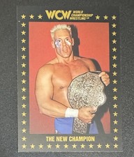Sting 1991 WCW World Championship Wrestling New Champion #22