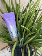 Global Beauty Care Amethyst Pre-Shave Scrub L...