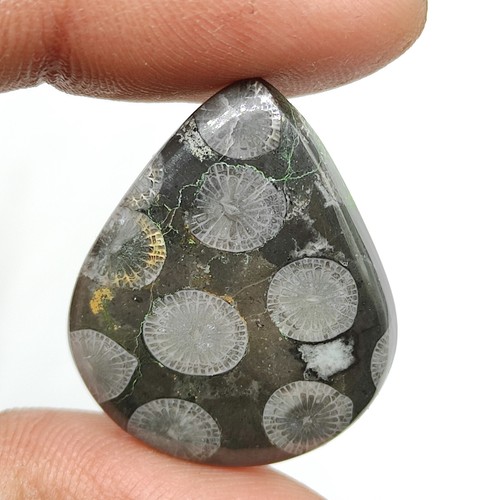 Natural black fossil coral cabochon designer fossilized coral loose stone M6557 - Picture 2 of 5