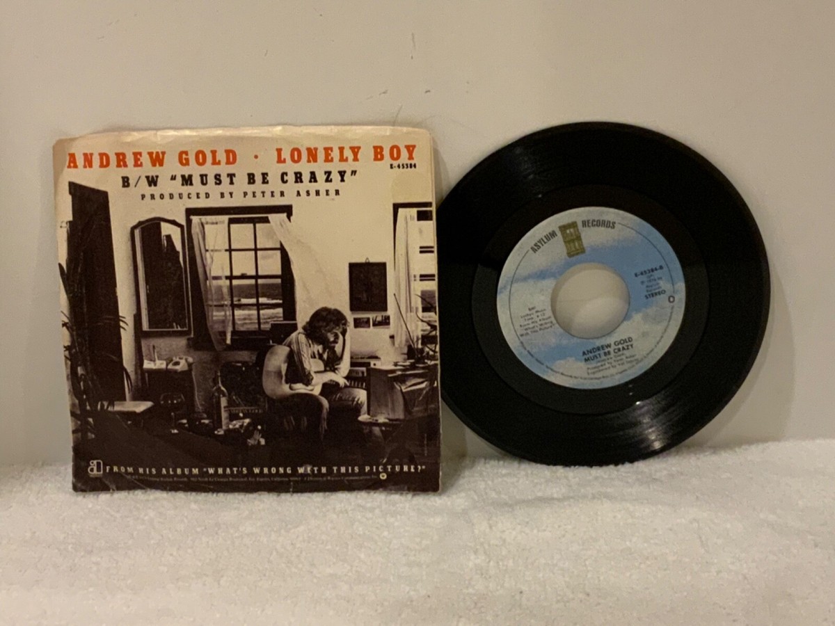 Andrew Gold - Lonely Boy / Must Be Crazy 7” 45 RPM Asylum E-45384