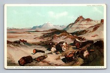 Petrified Forest Arizona On the Santa Fe Fred Harvey Postcard