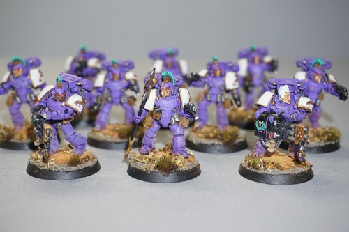 Forge World Emperors Children Legion Squad x 10 Painted - Picture 2 of 15