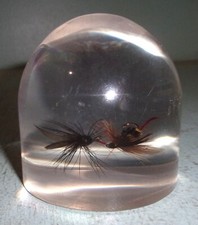 Vintage Lucite Dome Paperweight with Fly Fishing Flies
