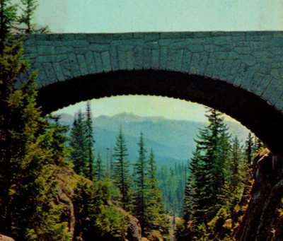 Vintage Postcard White Border Box Canyon Cowlitz Mt Rainer National Park WA