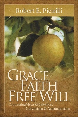 Robert E. Picirilli | Grace, Faith, Free Will | Taschenbuch | Englisch (2002)