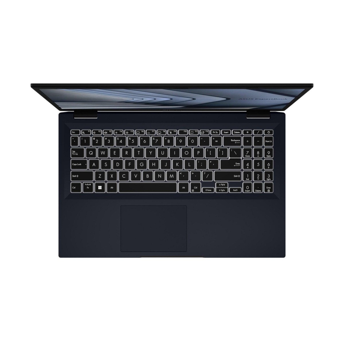 NEW ASUS ExpertBook B1 15