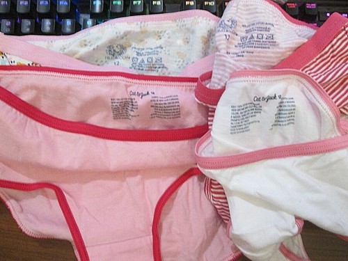 New Hanes,Fruit Loom Etc ❤️ Size 12 ❤️ Girls' Bikini Briefs 4 Pk Choice of Group - Picture 72 of 219