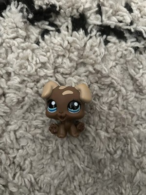 Littlest Pet Shops - LPS - Dog - Puppy#1052