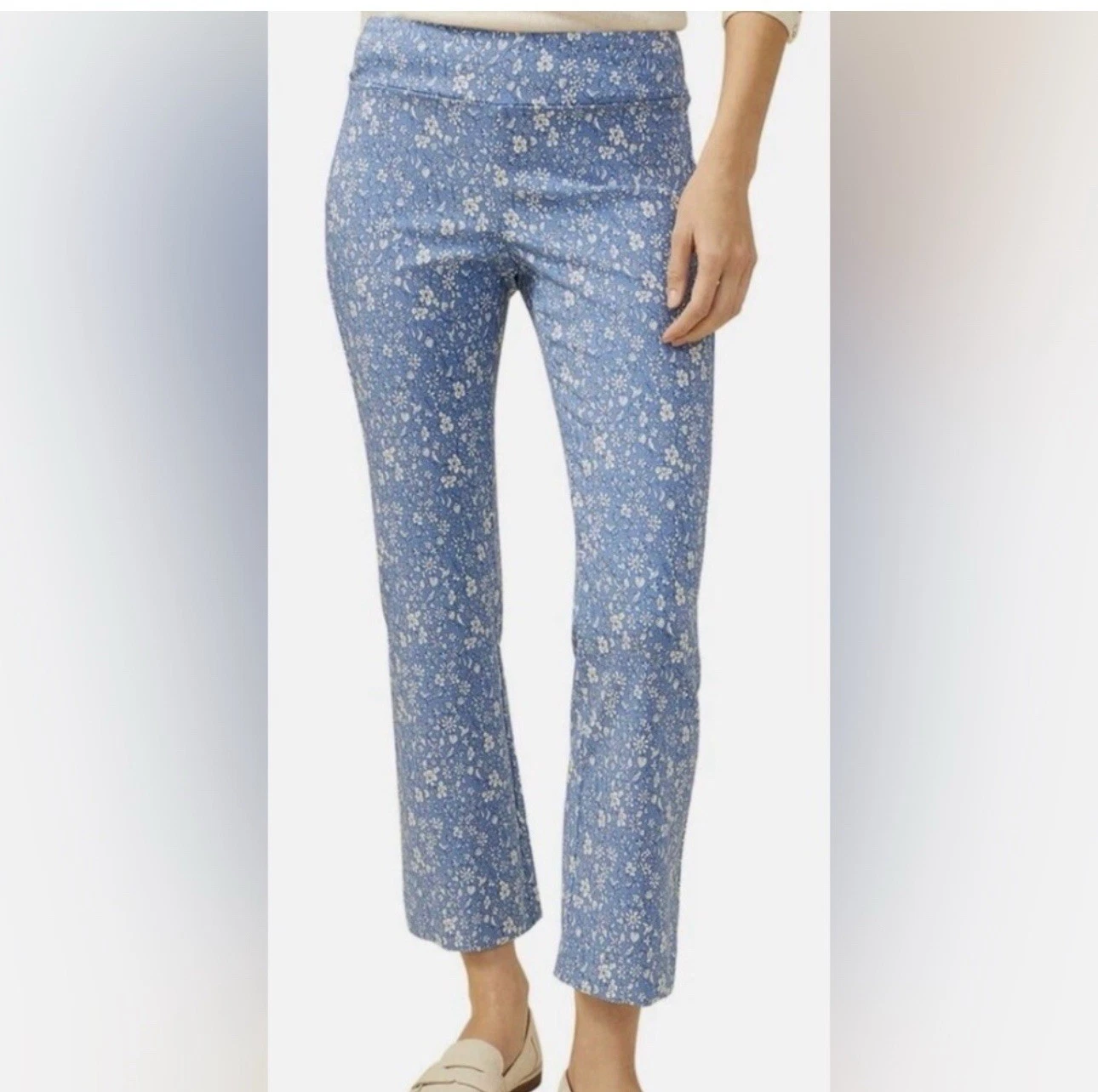 J. McLaughlin Blue Floral Capris Size 6 Women's