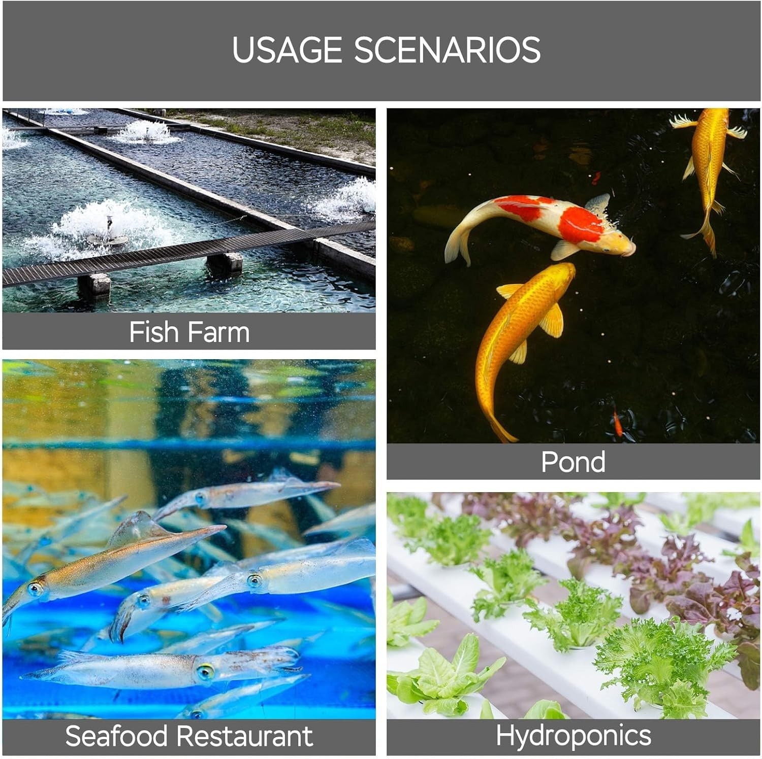 Multi-Functional Pond Aerator - High Output 1750GPH Air Pump, Aluminum Design