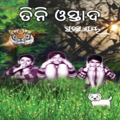 Tini Ostad Pratibha Ray Paperback BLACK EAGLE BOOKS