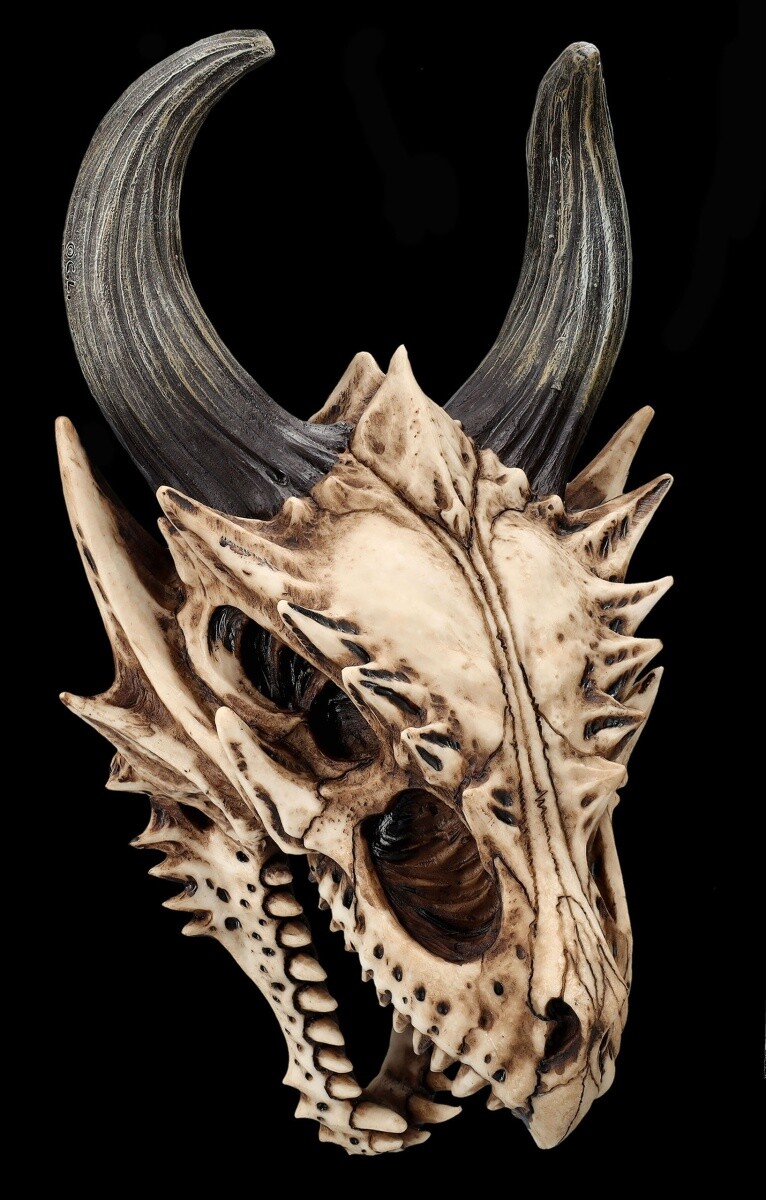 Dragon Skull Wall Decoration – Skull 29.5Cm – Gothic Fantasy Decoration