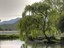 willow_lake