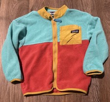 Patagonia Synchilla Colorblock Fleece Jacket ...