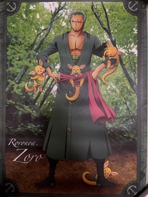 One Piece Zoro Poster Neu True Face unbenutzt Sammlerstück Kunst