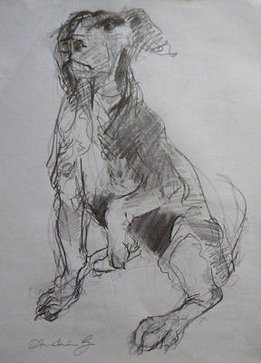 Bleistiftzeichnung Jack Russel Hund auf Papier A2 Graphit Stick