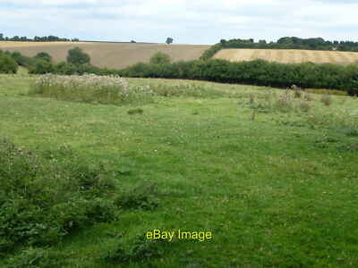 Foto 6x4 Eine alte Weide in der Nähe von High Haddon Farm Blick auf Google Eart c2013