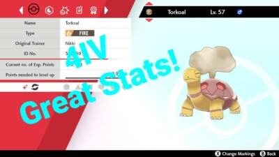 Pokemon Sword and Shield Shiny Torkoal [NOT hacked]
