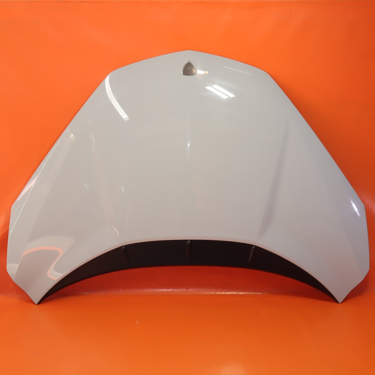 LAMBORGHINI REVUELTO HOOD 2024 2025 2026 47B823025D OEM