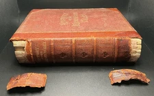 Important early Minnesota history!