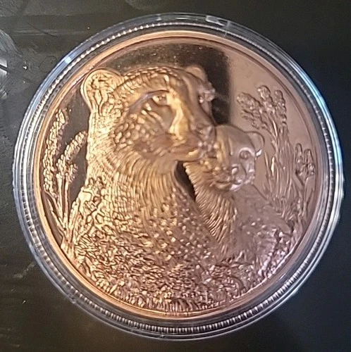 1 TROY OZ .999 FINE COPPER