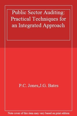 Public Sector Auditing: Practical Techniques for an Integrated A