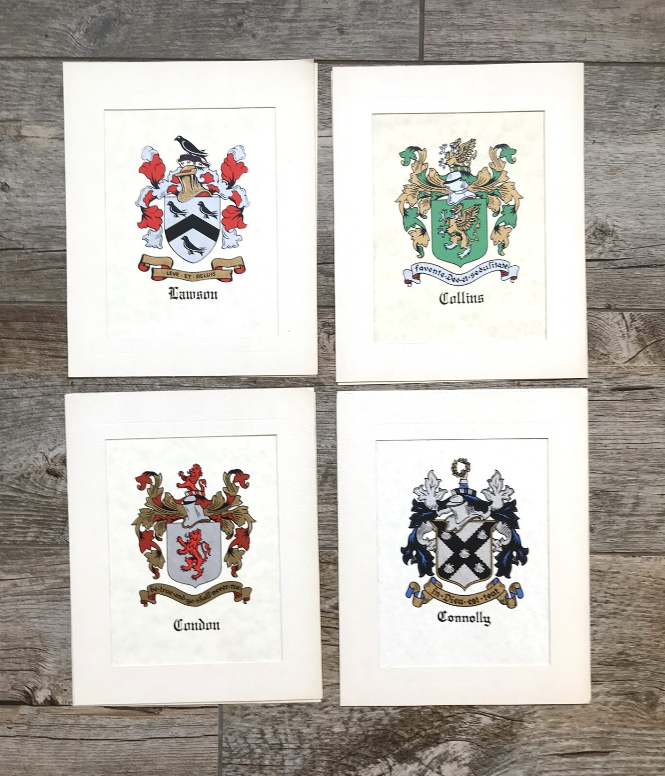 NEW Matted Coat of Arms Family Crest Heraldry Print (SEE! 260 Surnames A-O)