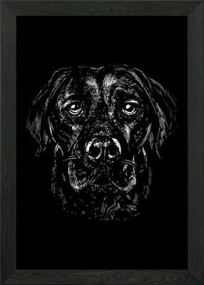 Hund Hunde Hund Liebhaber Hund Gerahmtes Wandbild Poster Leinwandbild Bild