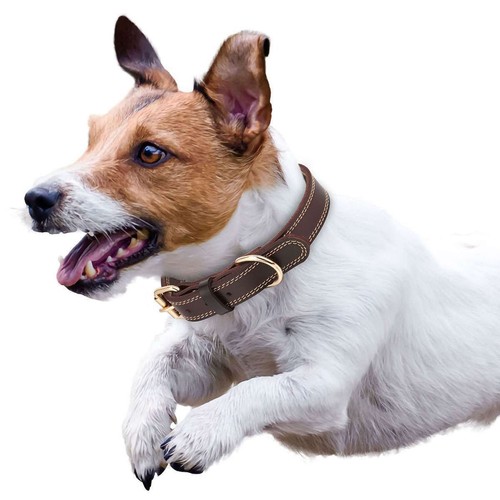 Genuine Leather Dog Collar Durable Alloy Hardware for Small Medium Large Dogs - Picture 5 of 12