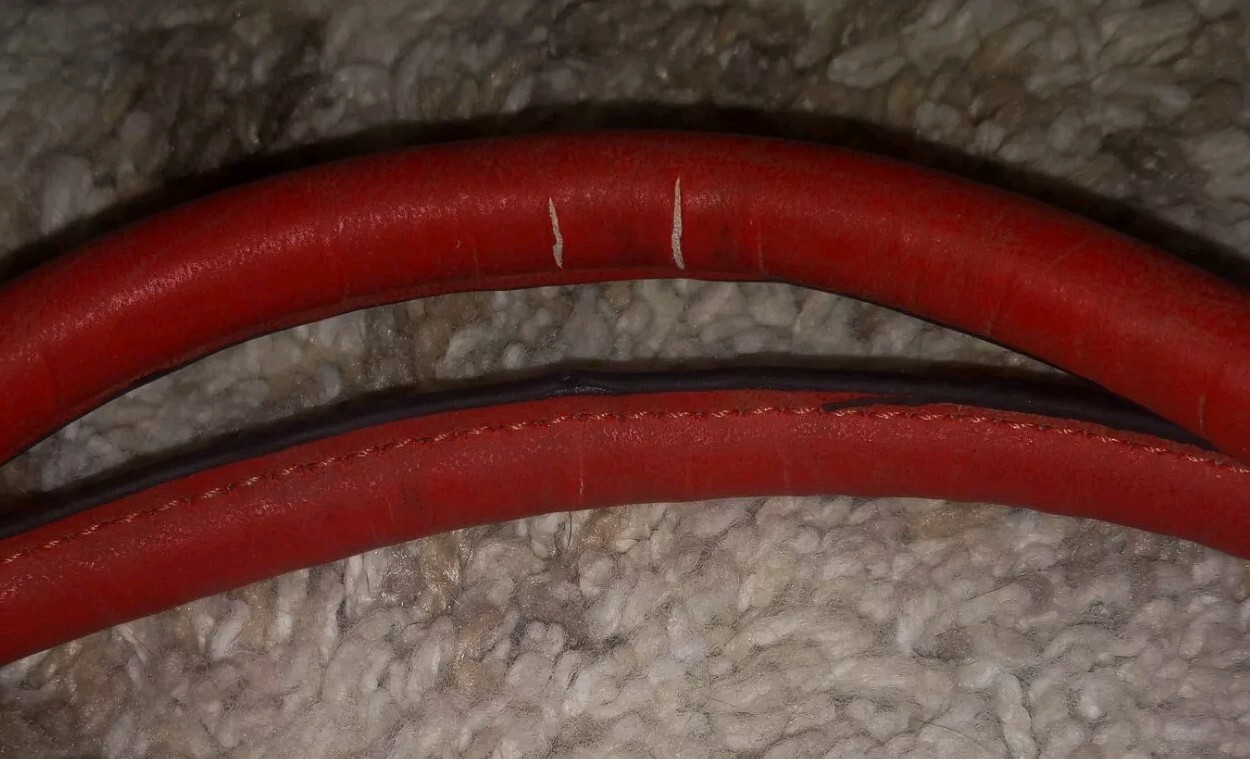 Picture 6 of 6