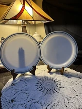 Corelle Indigo Dinner Plates--Set Of 2--10 1/4''