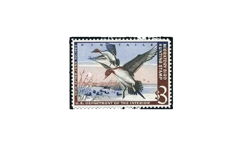 Patos em estado perfeito/sem marca de charneira Excelente Selos dos EUA