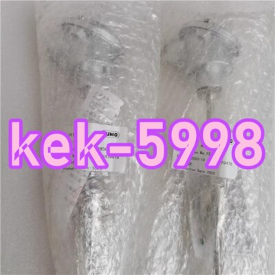 1PC NEW JUMO 902020/10 probe TN:48479476 #MX