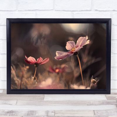 Blumen der Unschuld Blumengarten Bokeh zerbrechlich sanft zart Wandkunstdruck