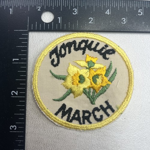 Vintage circa 1970s Daffodil JONQUIL MARCH BIRTH MONTH FLOWER Patch 00PA