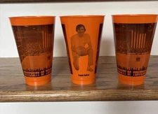 RARE Vintage 1980s Tennessee Volunteers Basketball Coach Devoe Orange Arena Cups