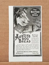 1915 Austin Dog Bread & Animal Food Co PRINT AD Chelsea Mass COLLIE DOG Biscuit