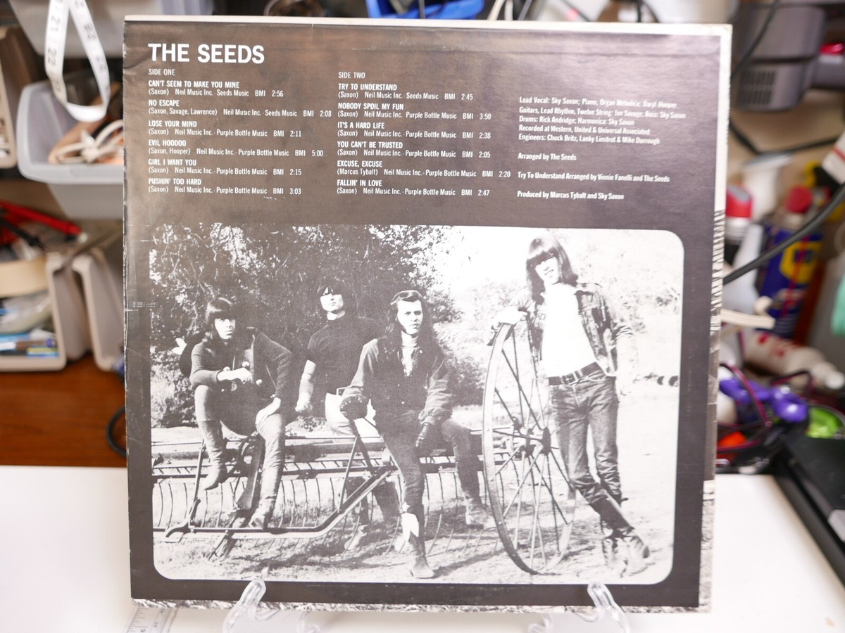 The Seeds, Album THE SEEDS, Vinyl LP Garage Rock, GNP Crescendo