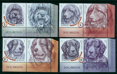 2019 Dog Breeds:Mioritic,Carpathian,Bucovina,Raven