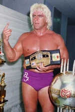 Ric Flair Professional Wresting Vintage Decor | POSTER 24 X 36 INCH