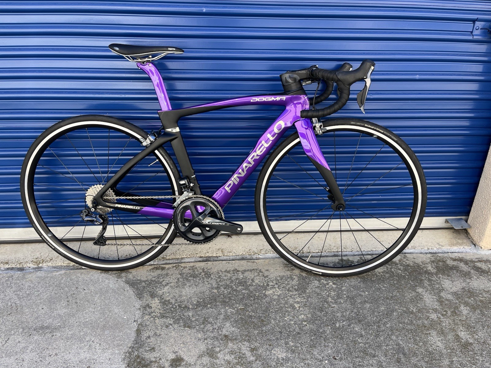 Pinarello Dogma F Rim Brake 