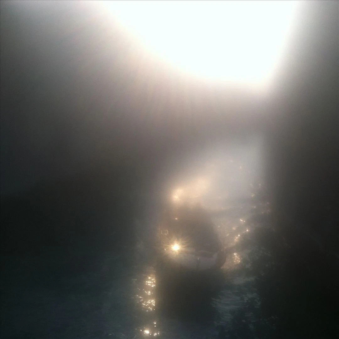 Blossoms in Red by Ensemble Economique (Record, 2016)