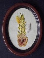 pannello collage natura morta con piante e fiori di campagna naturali secchi