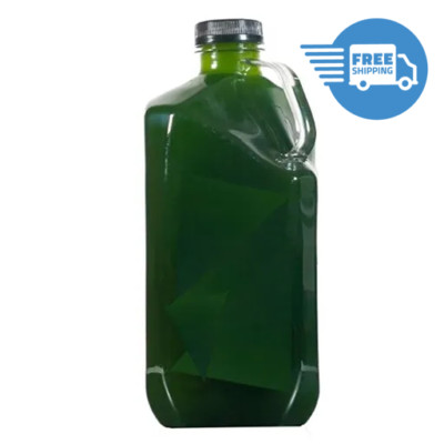LIVE Phytoplankton Tetra - 32oz! - FAST FREE SHIPPING!  - Premium Phyto!