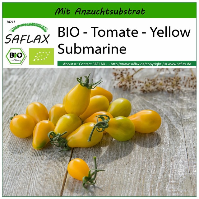 SAFLAX - BIO - Tomate - Yellow Submarine - Solanum - 10 Samen - Mit Substrat SAFLAX - BIO - Tomate - Yellow Submarine - Solanum - 10 Samen - Mit Substrat