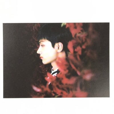 ENHYPEN] DARK BLOOD / Bite Me / New Ver. Official Postcard | eBay