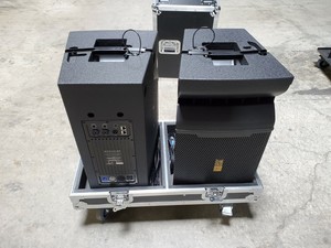 line array case