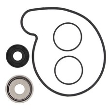 Vertex Pistons Water Pump Rebuild Kit #821969...