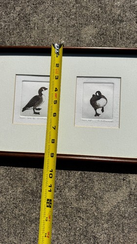 Dual Canada Goose von E. Elmhist Wildgans gerahmte Kunstzeichnung signiert - Bild 5 von 5